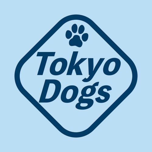JAグループ動画講座への講師出演
